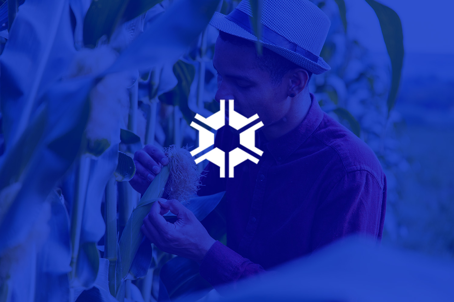 Curso de Agronomia da Faculdade Faron